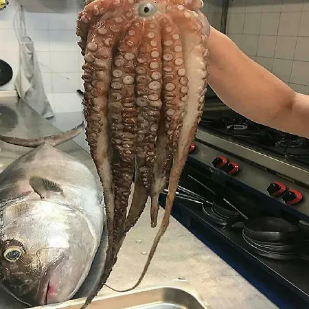 Silva Mar * Torvaianica